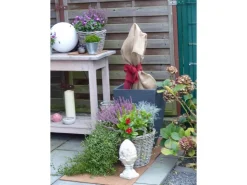 Proflora Kokosfaser Rückwand für Terrarien 120 cm x 60 cm* Terraristik