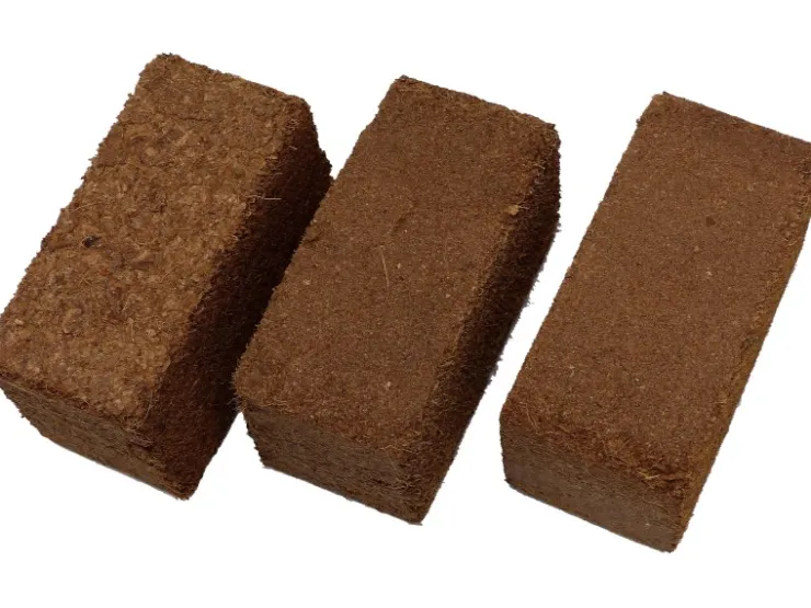 Proflora Kokosfaser Ziegel mini - Bodengrund für Terrarien, Insektarien - 3er Set (3 x 2)