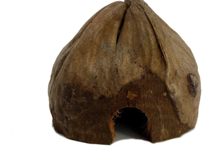 Proflora Kokoshöhle Versteck für Schlangen, Insekten, Spinnen und Nager - quer halb* Vogeltränken