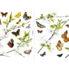 Komar Fenstersticker Cheerful 31 cm x 31 cm
