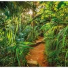 Komar Fototapete Jungle Trail 368 cm x 254 cm FSC®* Fototapeten