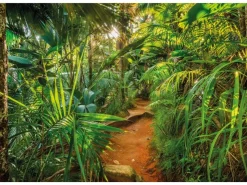 Komar Fototapete Jungle Trail 368 cm x 254 cm FSC®* Fototapeten