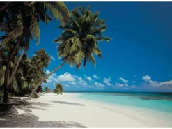 Komar Fototapete Maldives 388 cm x 270 cm FSC®* Fototapeten
