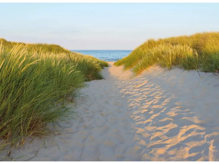 Komar Fototapete Sandy Path 368 cm x 254 cm FSC®
