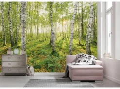 Komar Fototapete Vlies Birch Trees 400 x 250 cm