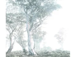 Komar Fototapete Vlies Magic Trees 300 x 280 cm* Fototapeten