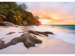 Komar Fototapete Vlies Nature 368 cm x 248 cm FSC® FSC®* Fototapeten