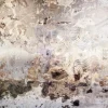 Komar Fototapete Vlies Time 300 x 250 cm