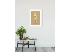 Komar Wandbild ABC Animal I 50 x 70 cm* Poster