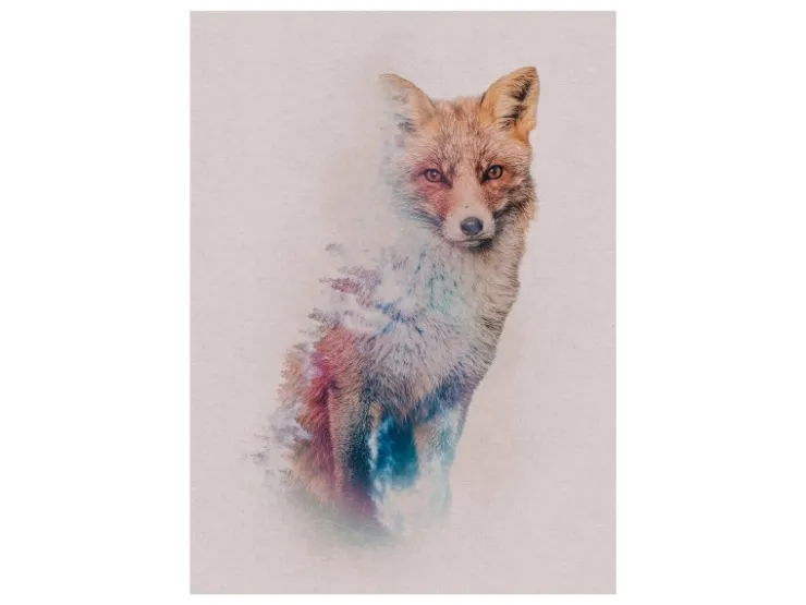 Komar Wandbild Animal Forest Fox 30 cm x 40 cm* Poster