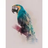 Komar Wandbild Animals Parrot 30 x 40 cm* Bilder