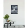 Komar Wandbild Arrowhead 50 x 70 cm* Bilder