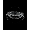 Komar Wandbild Crab Black 30 x 40 cm* Poster