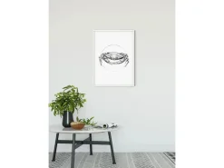 Komar Wandbild Crab White 50 x 70 cm