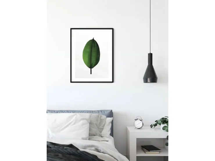 Komar Wandbild Ficus Leaf 40 x 50 cm* Bilder