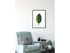 Komar Wandbild Ficus Leaf 30 x 40 cm* Poster