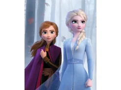 Komar Wandbild Frozen Sisters Wood 30 x 40 cm* Poster