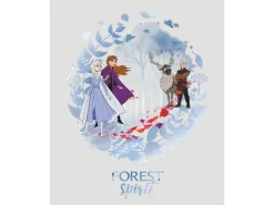 Komar Wandbild Frozen Spirit 40 x 50 cm* Bilder