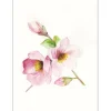 Komar Wandbild Magnolia Breathe 40 x 50 cm