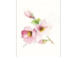 Komar Wandbild Magnolia Breathe 40 x 50 cm