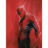 Komar Wandbild Marvel Spider-Man Through the Spider Web 50 cm x 70 cm Rot