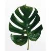 Komar Wandbild Monstera Leaf 40 x 50 cm* Bilder