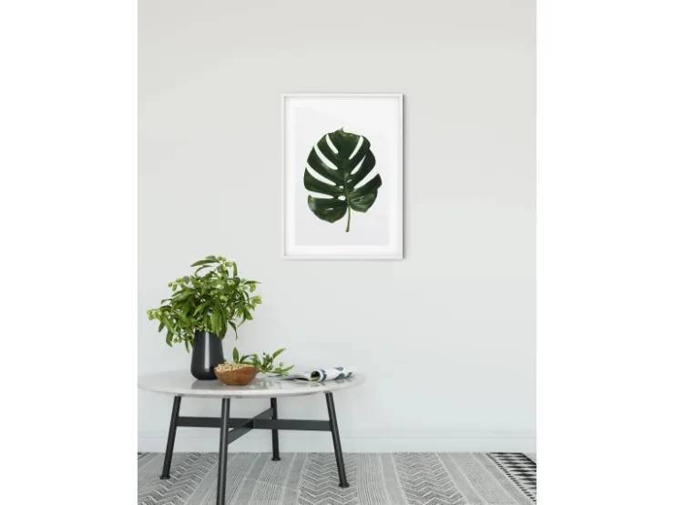 Komar Wandbild Monstera Leaf 30 cm x 40 cm* Poster
