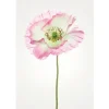 Komar Wandbild Poppy 50 x 70 cm* Bilder
