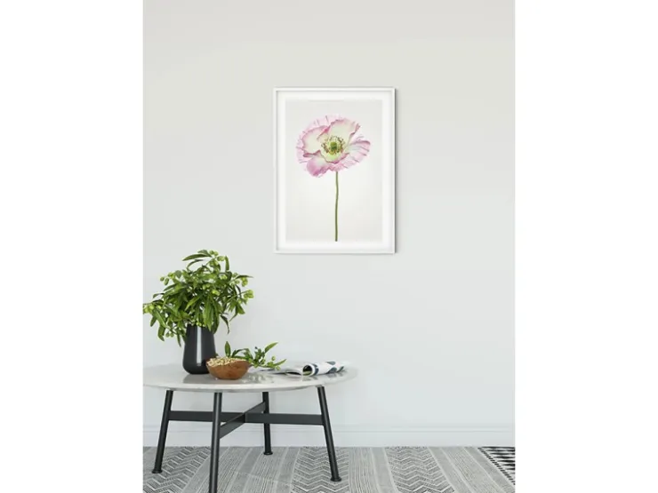 Komar Wandbild Poppy 50 x 70 cm* Bilder