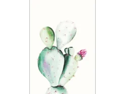 Komar Wandbild Prickly Pear 30 x 40 cm* Bilder