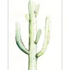 Komar Wandbild Saguaro Watercolor 40 x 50 cm* Poster