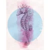 Komar Wandbild Sea Horse Circle 50 x 70 cm