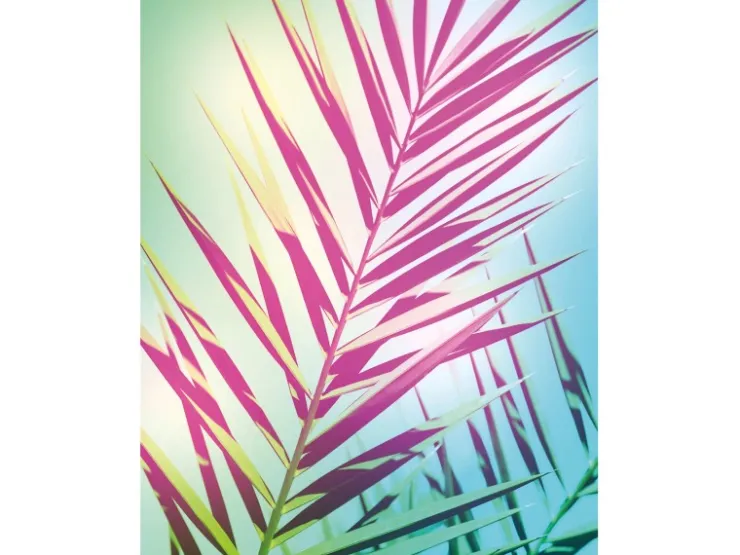 Komar Wandbild Shine 40 x 50 cm* Poster