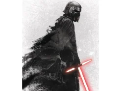 Komar Wandbild Star Wars Vader 40 x 50 cm* Poster