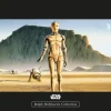 Komar Wandbild Star Wars Droids 40 x 30 cm* Poster