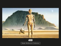 Komar Wandbild Star Wars Droids 40 x 30 cm* Poster