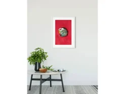 Komar Wandbild Star Wars Pilot 30 x 40 cm* Bilder