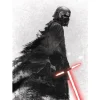 Komar Wandbild Star Wars Vader 50 x 70 cm* Poster