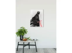 Komar Wandbild Star Wars Vader 50 x 70 cm* Poster