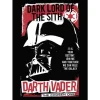 Komar Wandbild Star Wars Darth Vader The Chosen One 50 cm x 70 cm Rot
