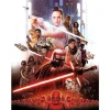 Komar Wandbild Star Wars Rey 30 x 40 cm* Poster