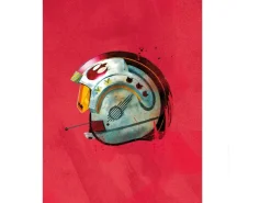 Komar Wandbild Star Wars Pilot 40 x 50 cm