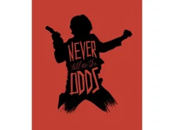 Komar Wandbild Star Wars Han Solo 40 x 50 cm gerollt