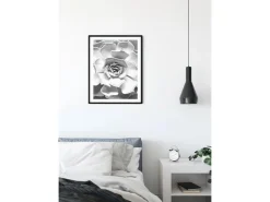 Komar Wandbild Succulent Closeup 40 x 50 cm* Bilder