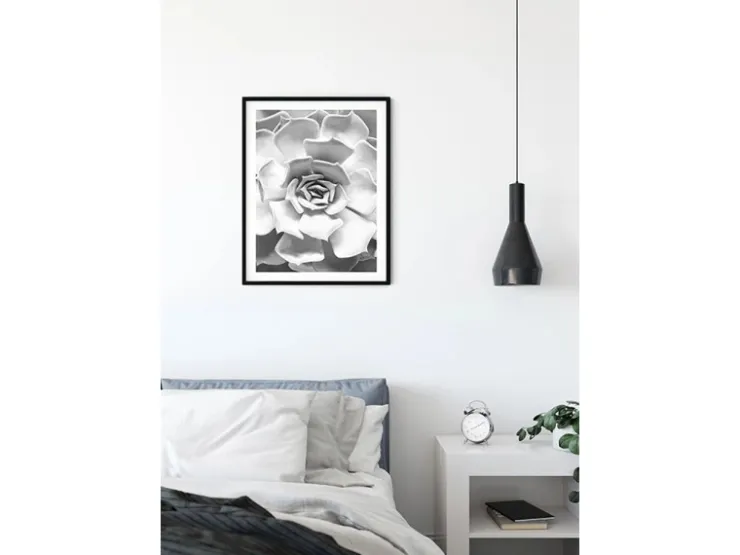 Komar Wandbild Succulent Closeup 40 x 50 cm* Bilder