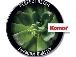 Komar Wandbild Succulent Single 40 cm x 50 cm