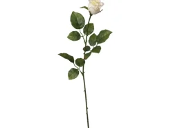 MICA Kunstblume Rose mit Regentropfen-Look Creme 60 cm