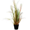 Mica Decorations Kunstpflanze Ried Gras Hellbraun Topf-Ø 10 cm H 53 cm, Ø: 30 cm