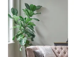 Laura Ashley Wandfarbe Pale Sage Leaf Grün 2,5 l* Lacke Mischen