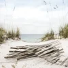 Pro Art Leinwandbild Anonymus Sea View III 27 cm x 27 cm* Bilder